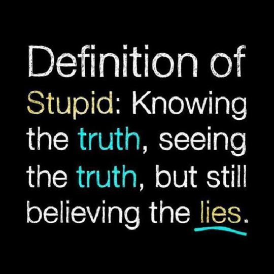 Definition of stupid