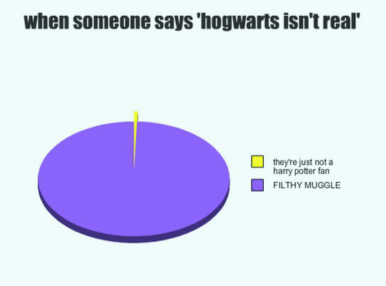 When someone says Hogwarts isn't real...