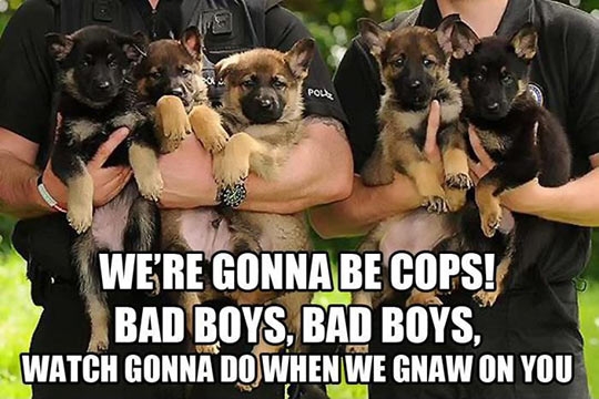 We're gonna be cops!