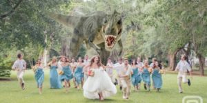 Creative wedding pictures.