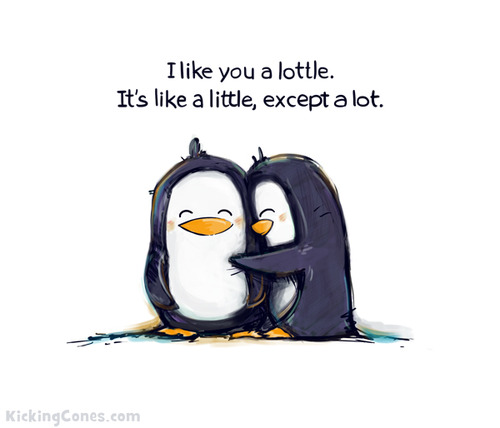 I like you a lottle.