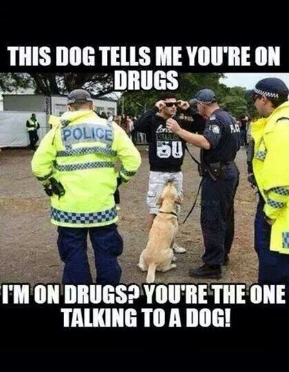 I'm on drugs?