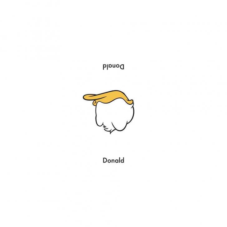 Donald versus Donald