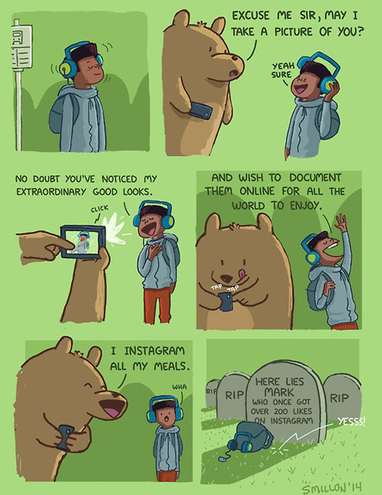 If bears used Instagram.