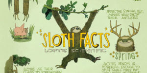 Sloth facts.