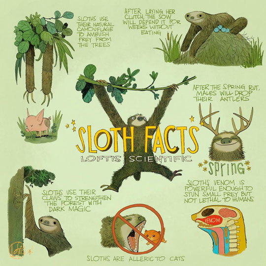 Sloth facts.