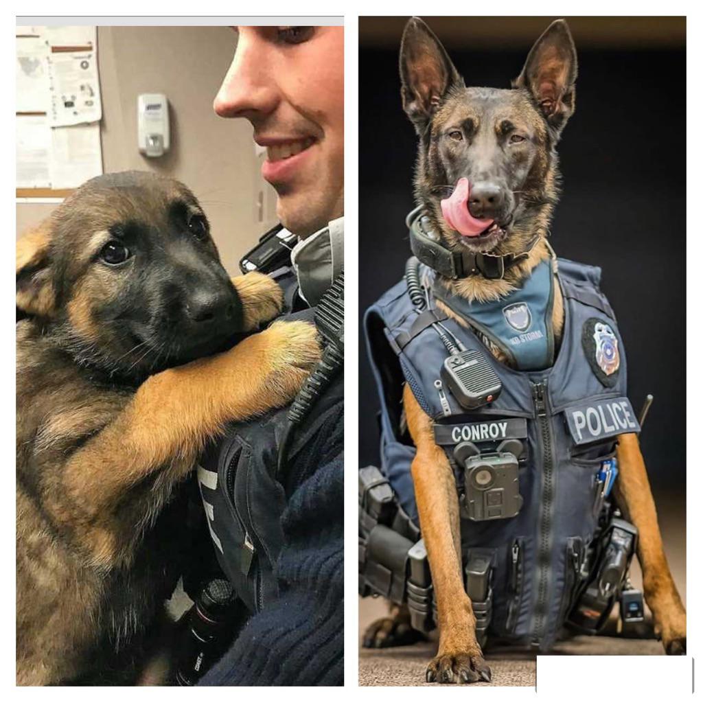 Then and now pupdates.