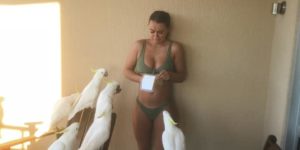 When you think you’re a Disney princess  but end up getting bullied by a flock of cockatoos…