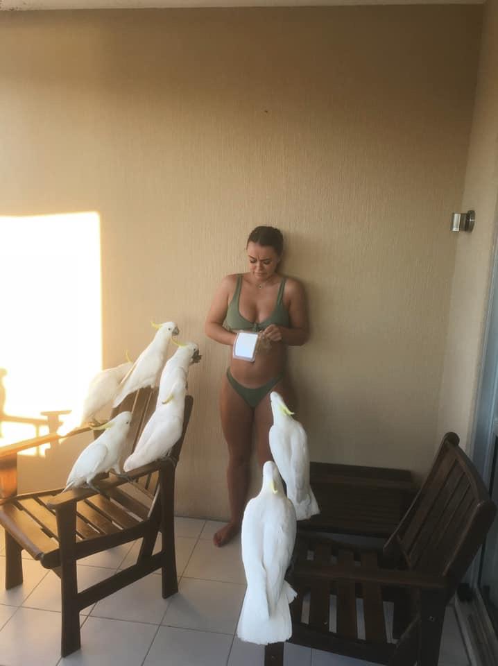 When you think you're a Disney princess  but end up getting bullied by a flock of cockatoos...