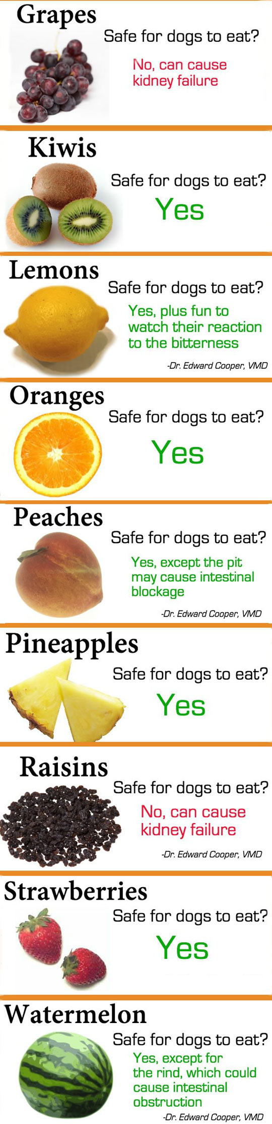 Feeding Your Dog Fruits