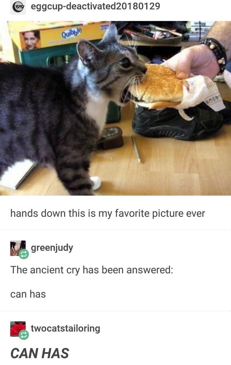 Can haz ðŸ”