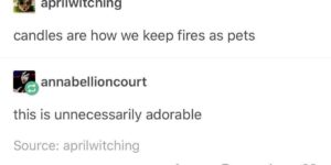 The lesser known fire pet