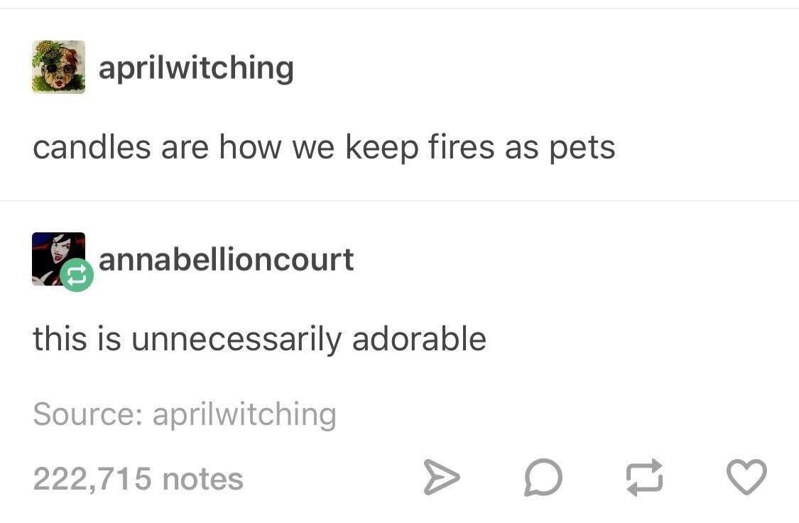 The lesser known fire pet