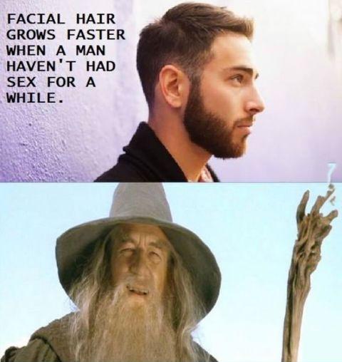 Gandalf the grey everyone!