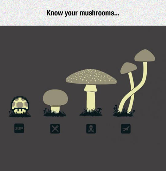 Know your mushrooms.