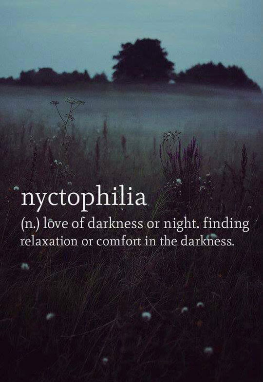 Nyctophilia (n)