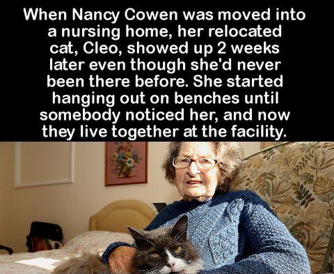 When Nancy Cowen was moved into a nursing home