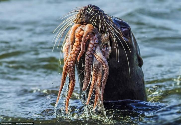 "Do you fear death!?" -Davy Jones