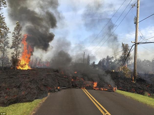 Retire to Hawaii, they said, it's peaceful and wonderful, they said...