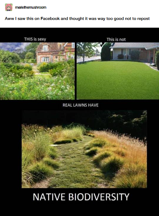 Stop mowing your lawn, basically...?