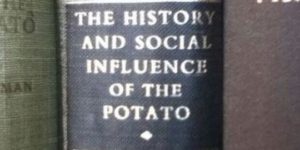 I could eat this book.