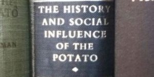 I+could+eat+this+book.