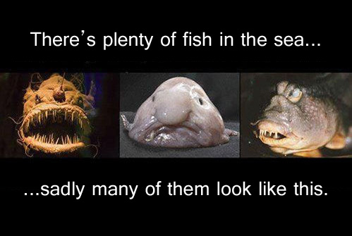 There's plenty of fish in the sea...