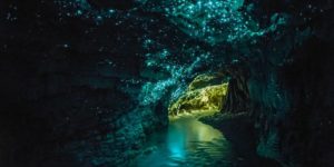 Glow Worm Cave in Waitamo, New Zealand.