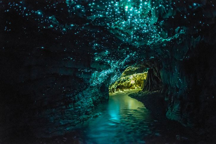 Glow Worm Cave in Waitamo, New Zealand.