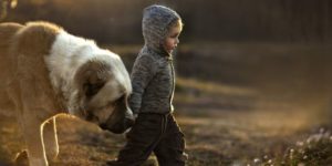 Boy and his friend