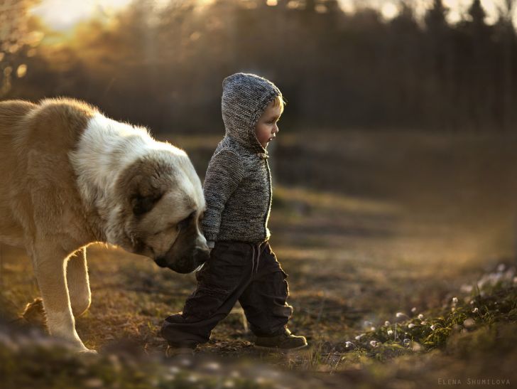 Boy and his friend