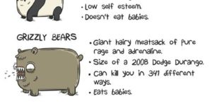 Know thy bears.