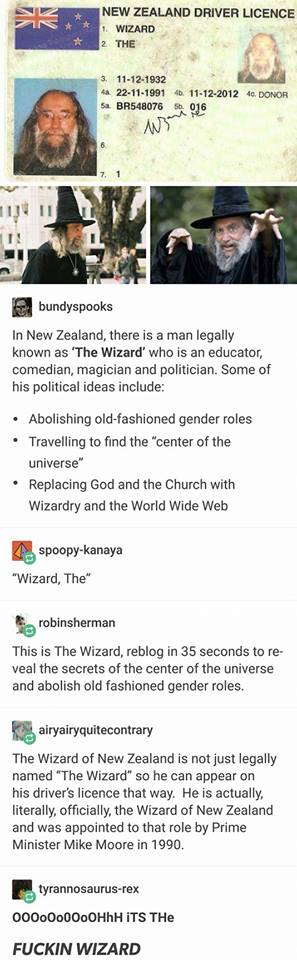Your country may be great, but does it have a state appointed wizard?