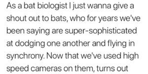 Bats became clumsy due to advancements in science.