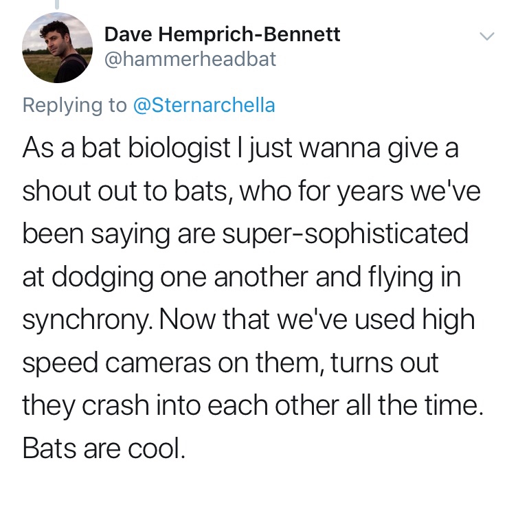 Bats became clumsy due to advancements in science.