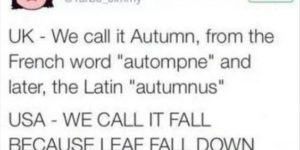 Why Fall is Fall