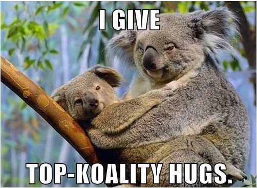 Top koality hugs.