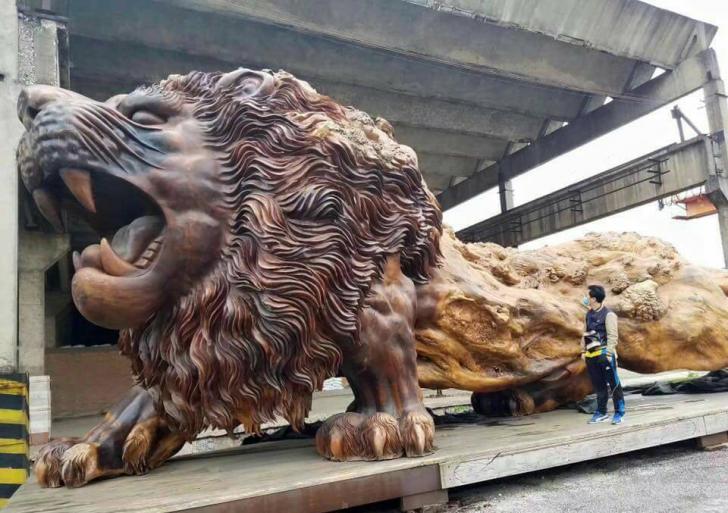 Giant lion carved out of a redwood tree trunk