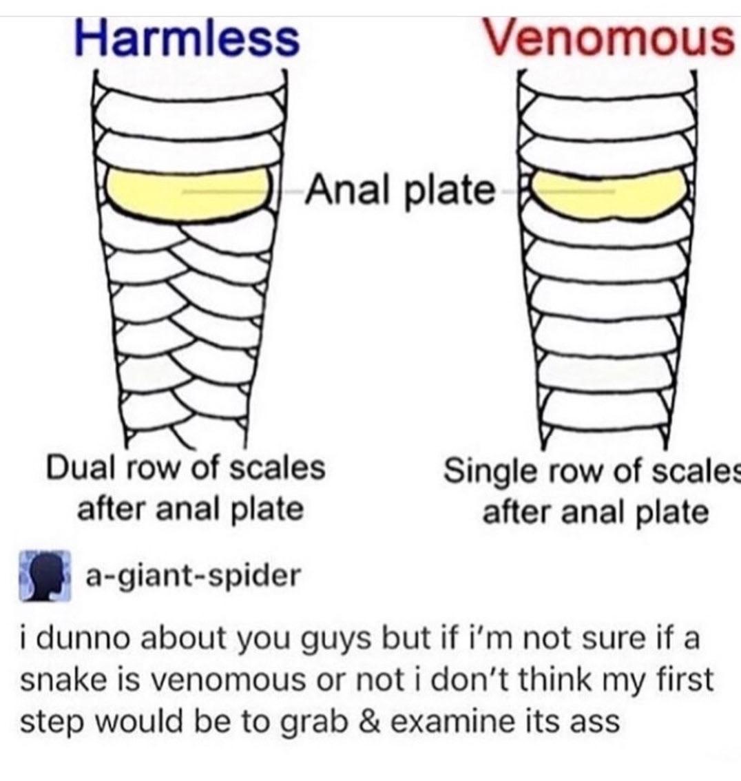 Examine all potential danger noodles.