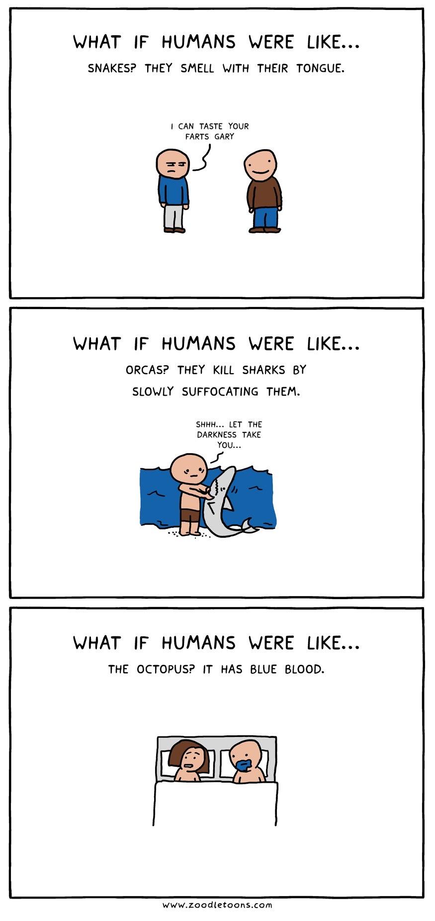 What if Humans Were More Like...