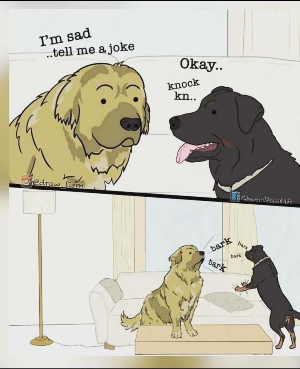 Dogs are the joke.