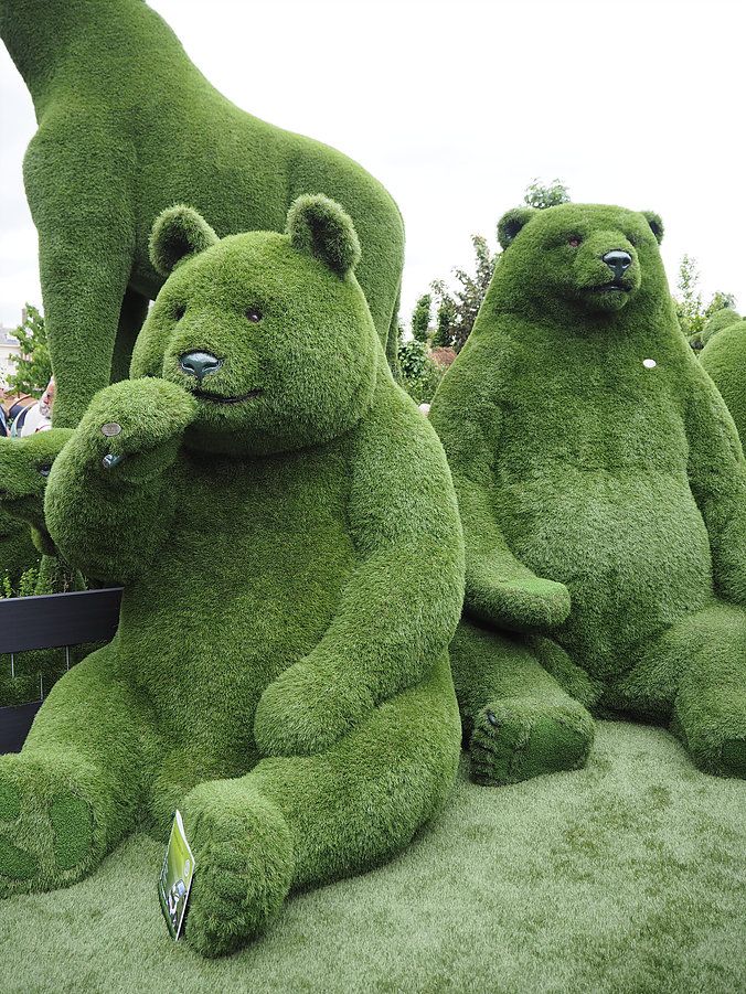 The hedges are bears at the Chelsea Flower Show.