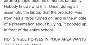 hot single horses