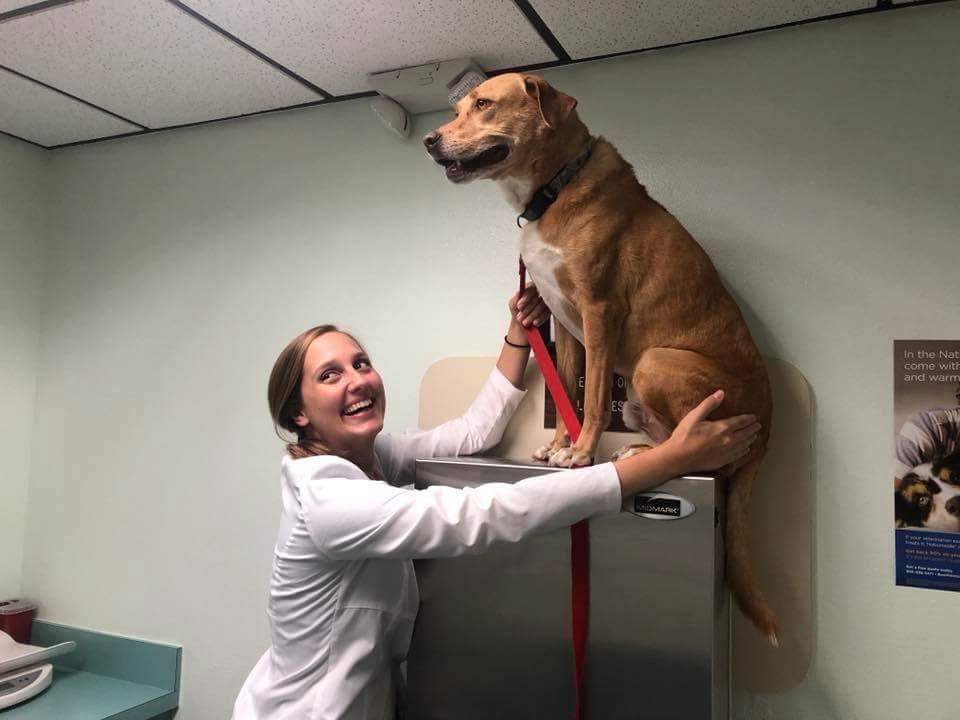 Got a little nervous during his annual checkup...