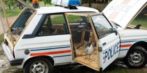 That officer was a real cock…