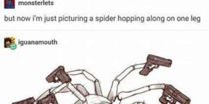 Spider