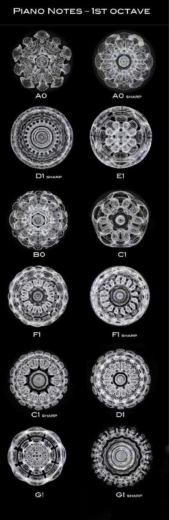 How piano notes reverberate through a bowl of water.