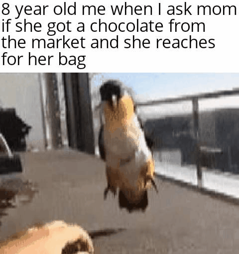 Yippity yeet it's time for a treat!