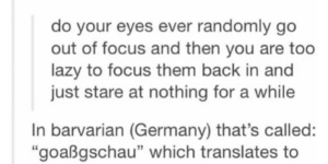 Of course the Germans have a word for that.