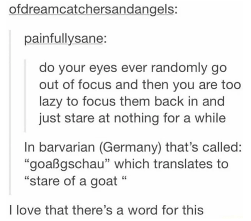 Of course the Germans have a word for that.